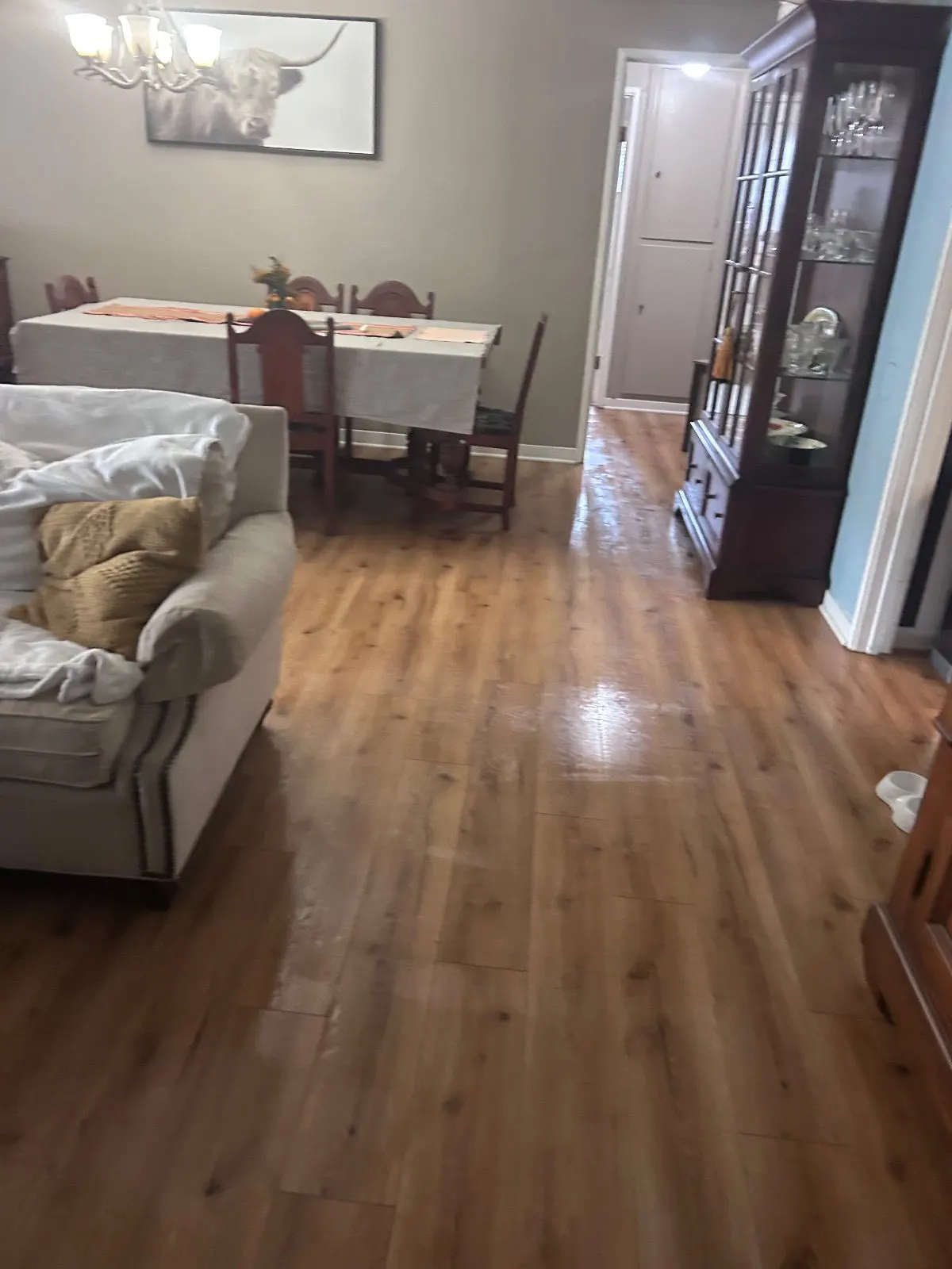 After — House Cleaning in Sacramento, CA — October 2026