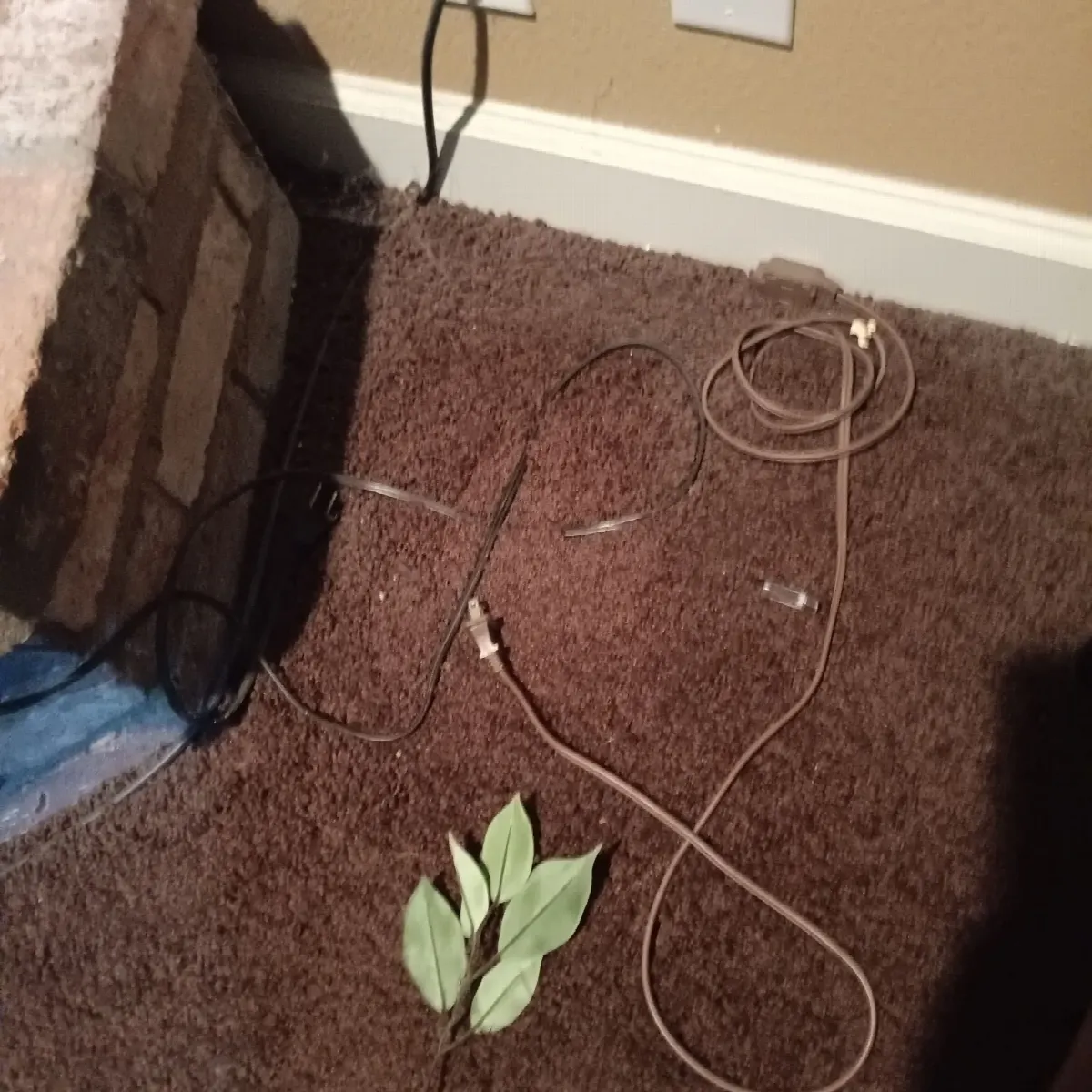 Before — House Cleaning in Citrus Heights, CA — October 2026