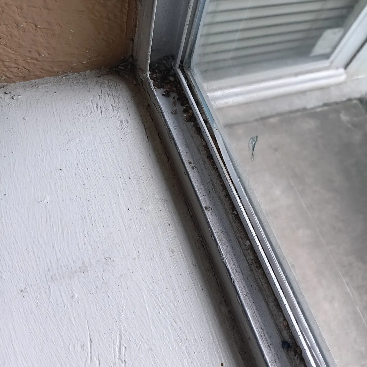 Before — House Cleaning in Citrus Heights, CA — October 2026