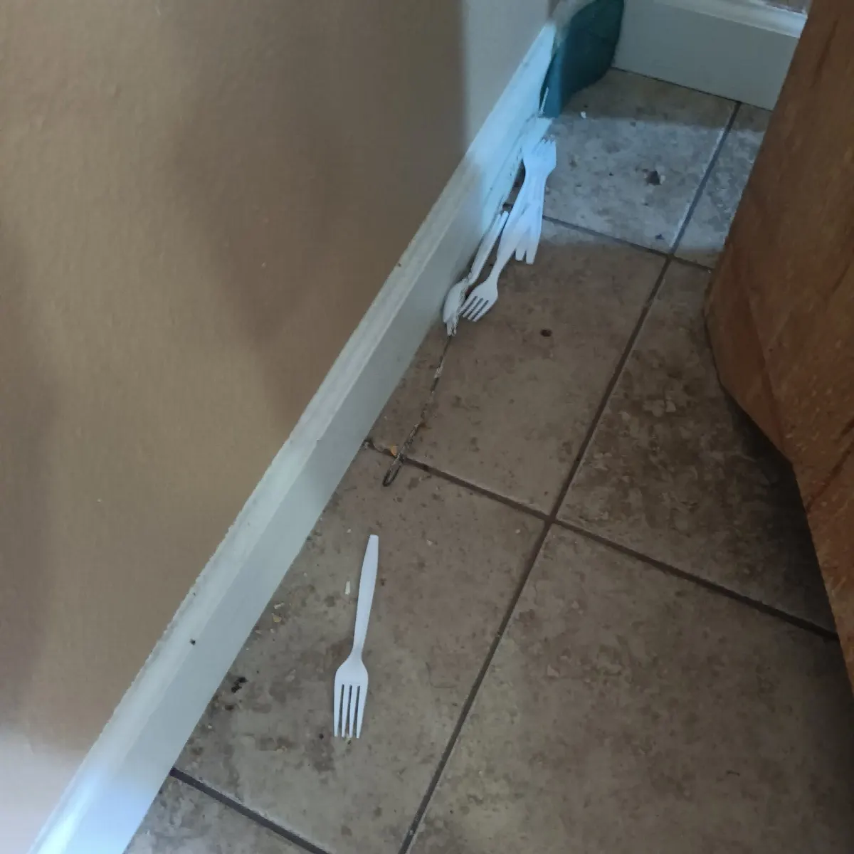 Before — House Cleaning in Citrus Heights, CA — October 2026
