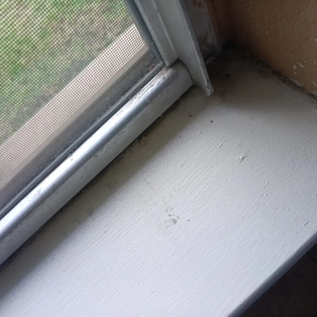 Before — House Cleaning in Citrus Heights, CA — October 2026