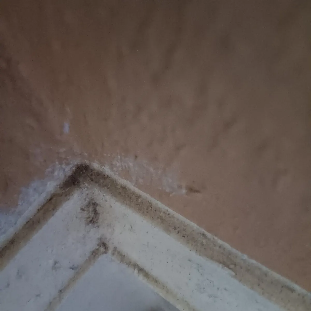 Before — House Cleaning in Citrus Heights, CA — October 2026