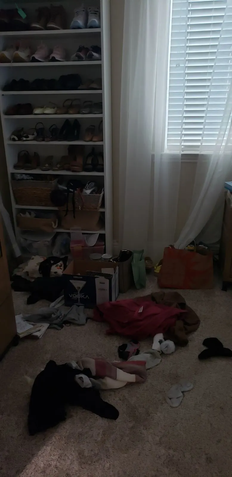 Before — House Cleaning in Roseville, CA — October 2026