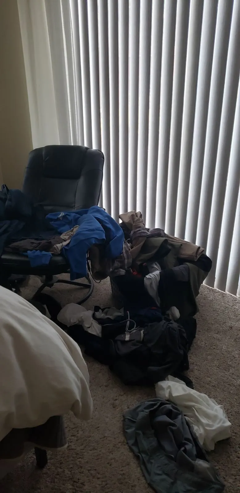 Before — House Cleaning in Roseville, CA — October 2026