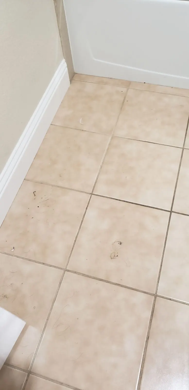 Before — House Cleaning in Roseville, CA — October 2026