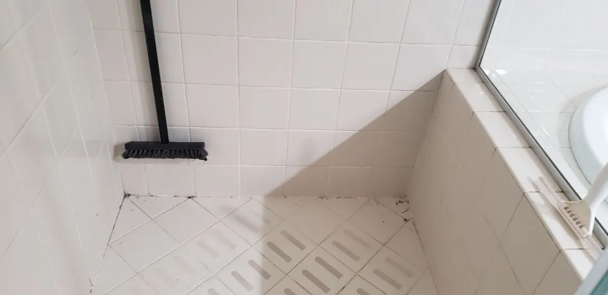 Before — House Cleaning in Roseville, CA — October 2026
