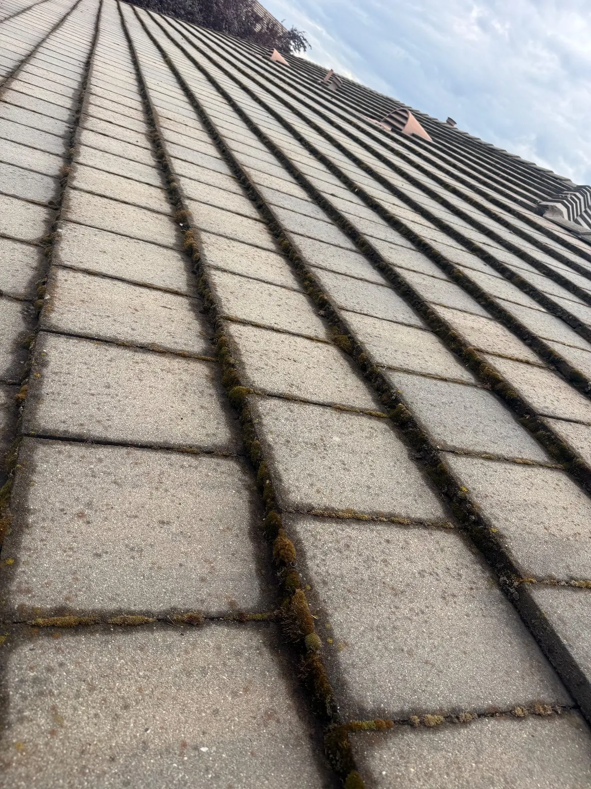 Before — Gutter Cleaning and Maintenance in Lincoln, CA — October 2026