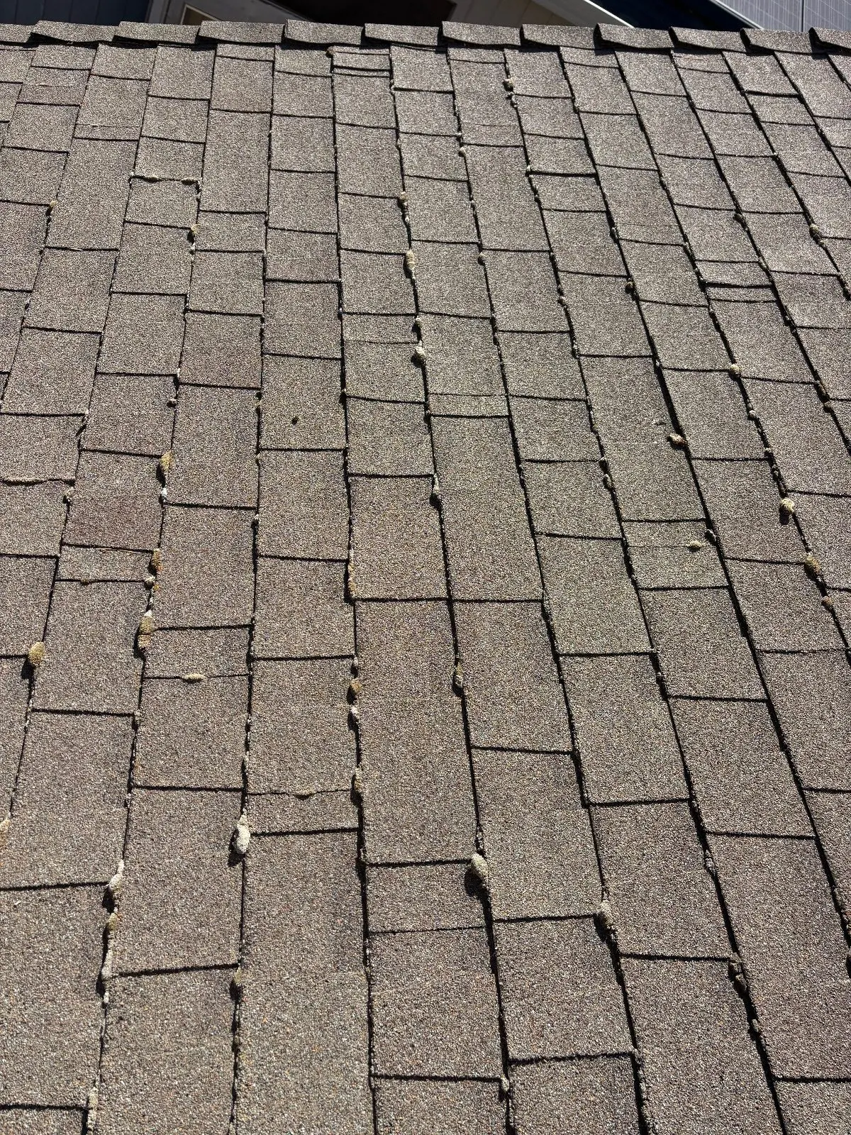 Before — Gutter Cleaning and Maintenance in Antelope, CA — July 2026
