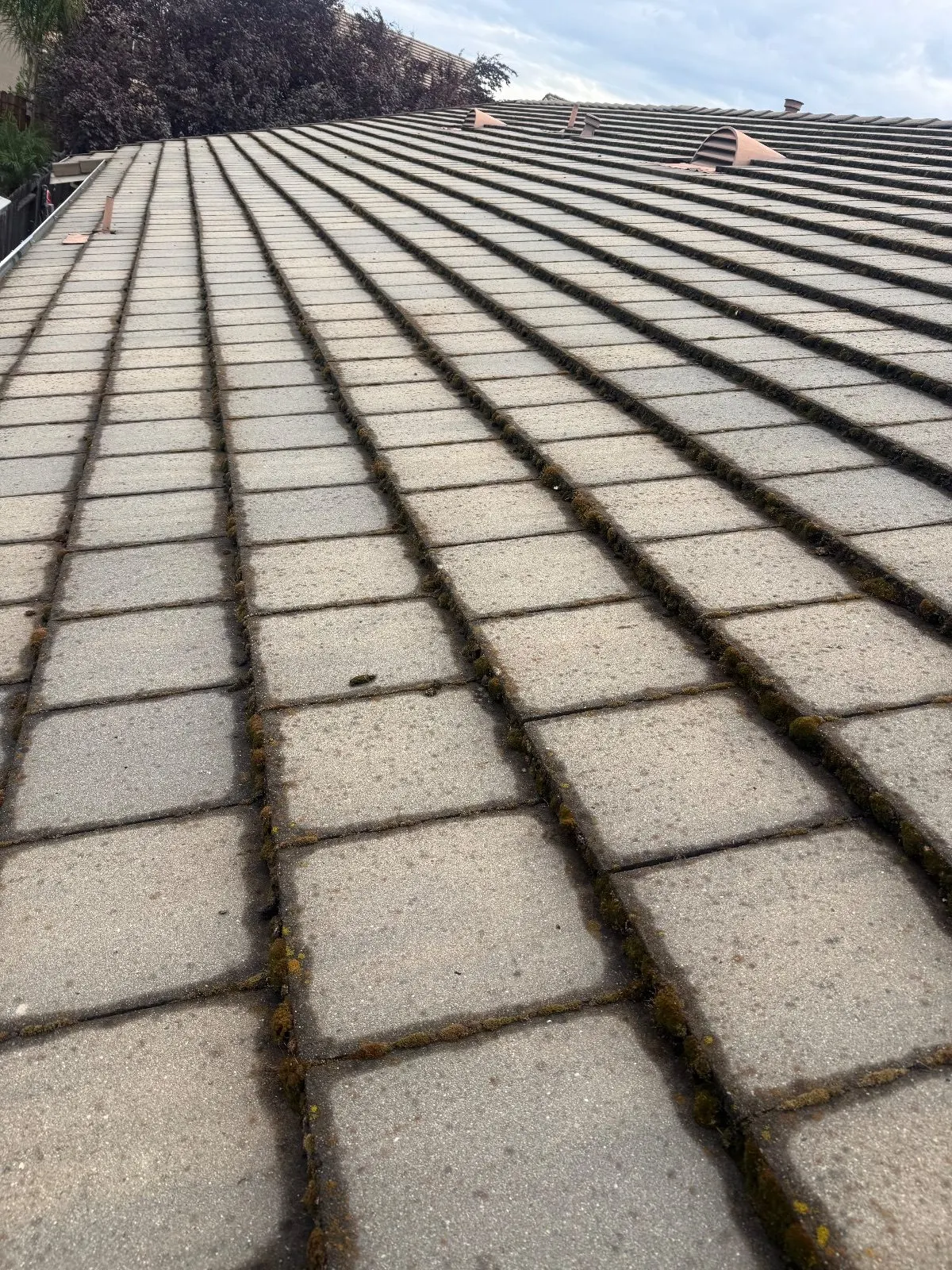 Before — Gutter Cleaning and Maintenance in Lincoln, CA — October 2026