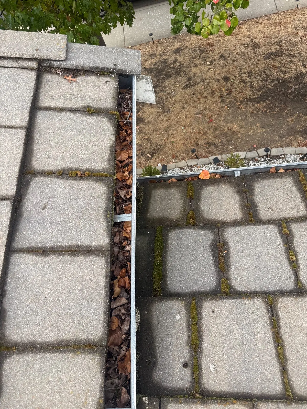 Before — Gutter Cleaning and Maintenance in Lincoln, CA — October 2026