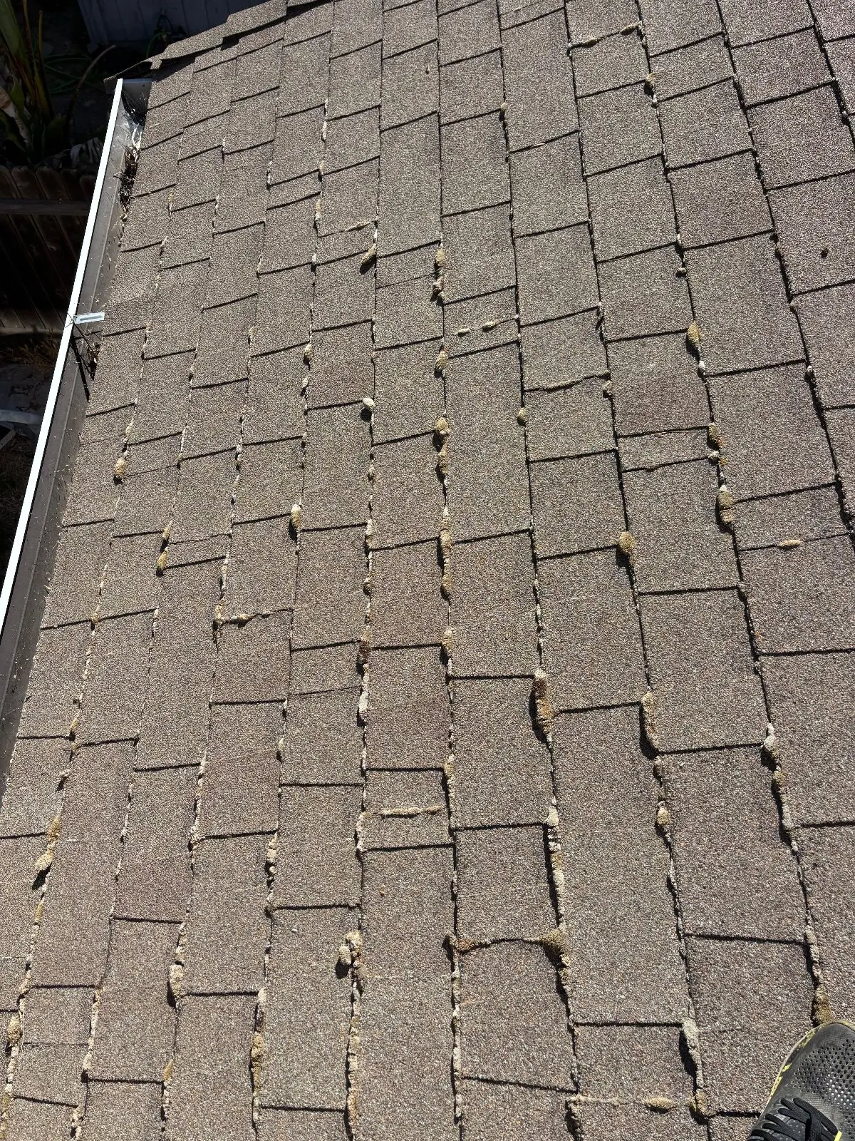 Before — Gutter Cleaning and Maintenance in Antelope, CA — July 2026