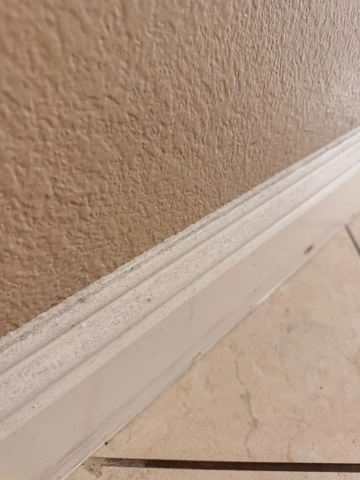 Before — House Cleaning in Roseville, CA — July 2026