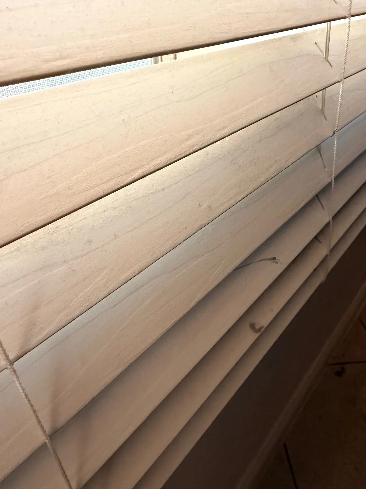 Before — House Cleaning in Roseville, CA — July 2026