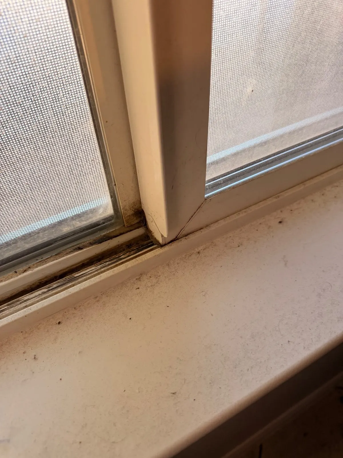 Before — House Cleaning in Roseville, CA — July 2026