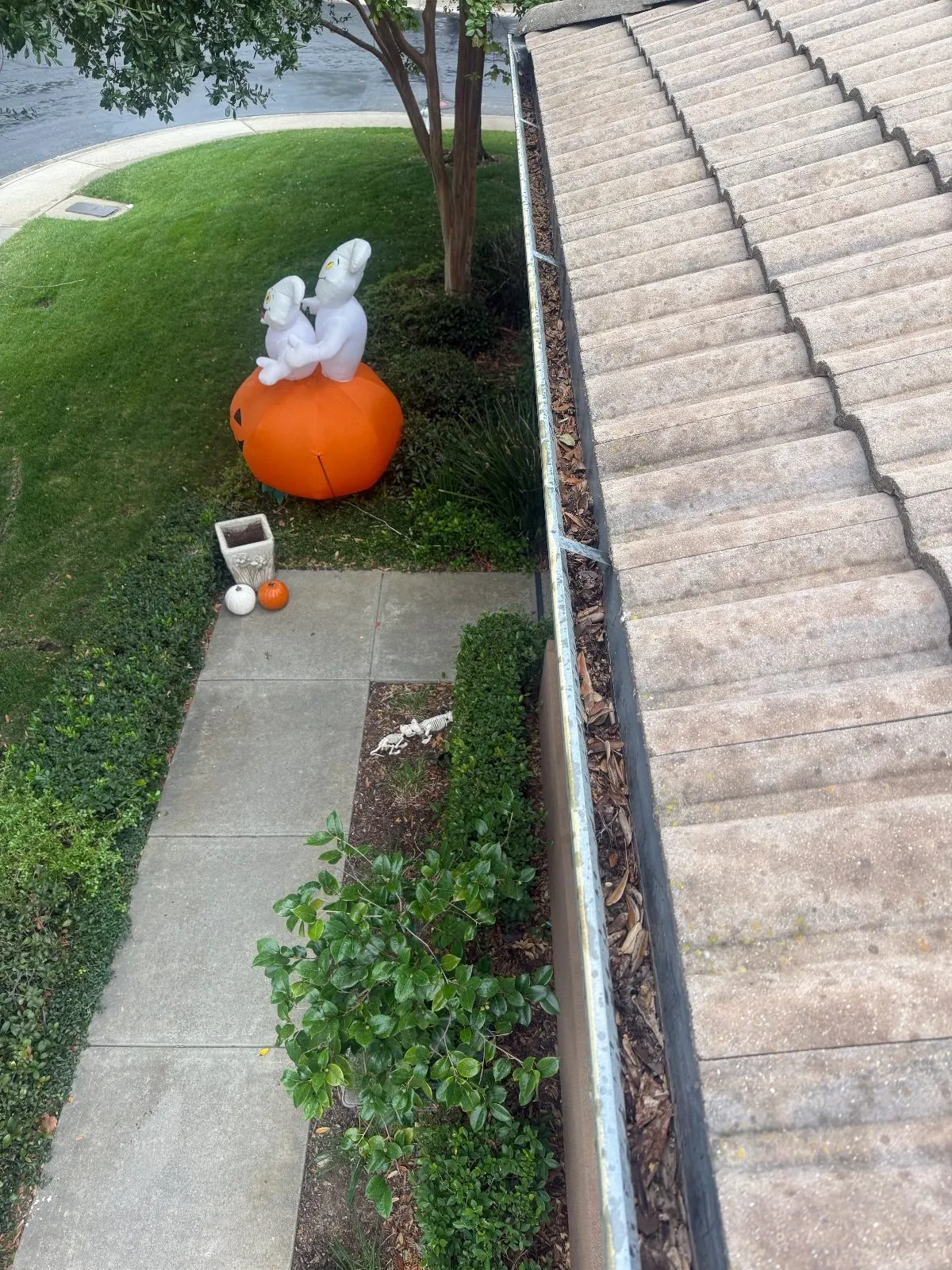 Before — Gutter Cleaning and Maintenance in El Dorado Hills, CA — October 2026