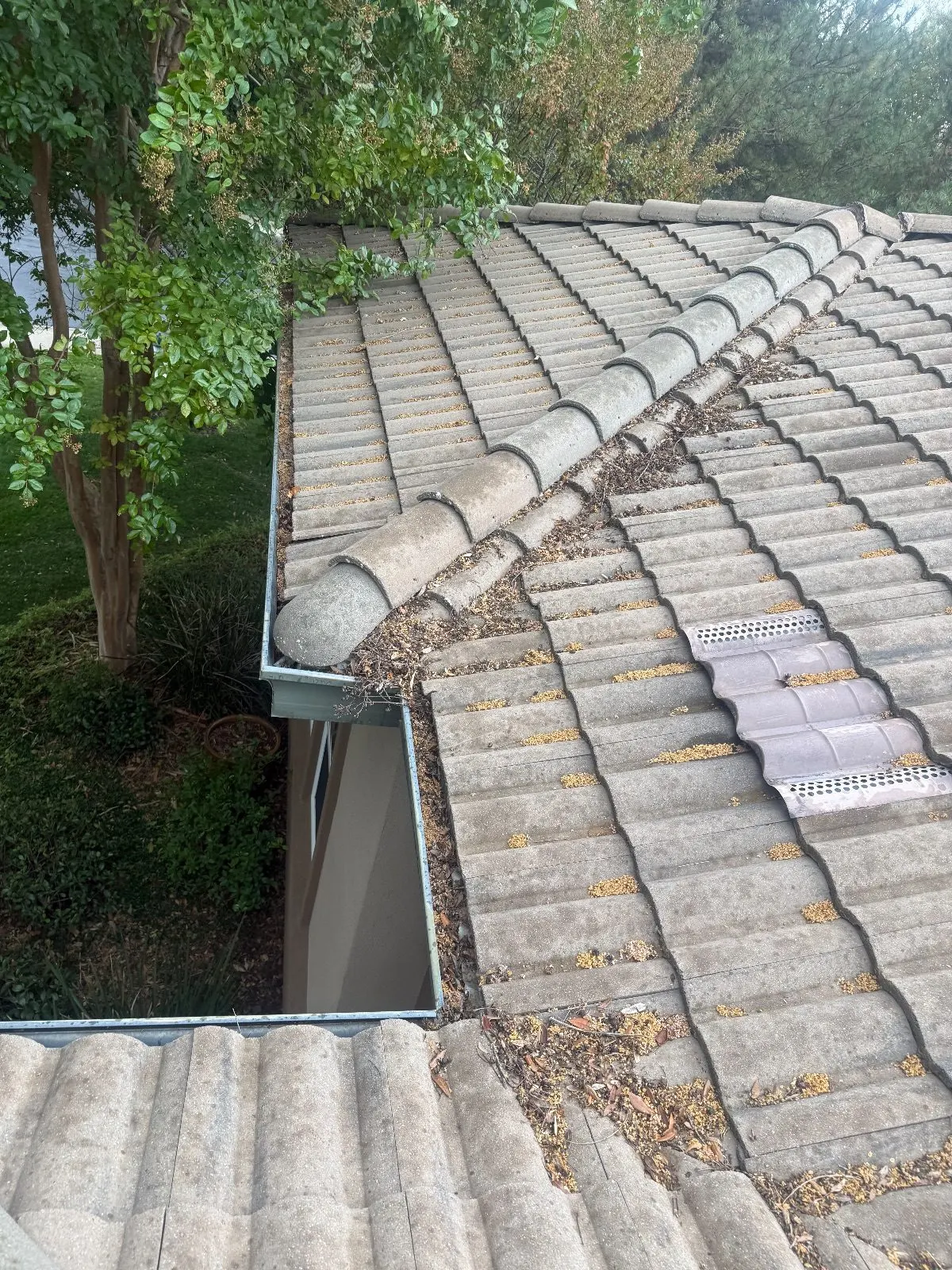 Before — Gutter Cleaning and Maintenance in El Dorado Hills, CA — October 2026