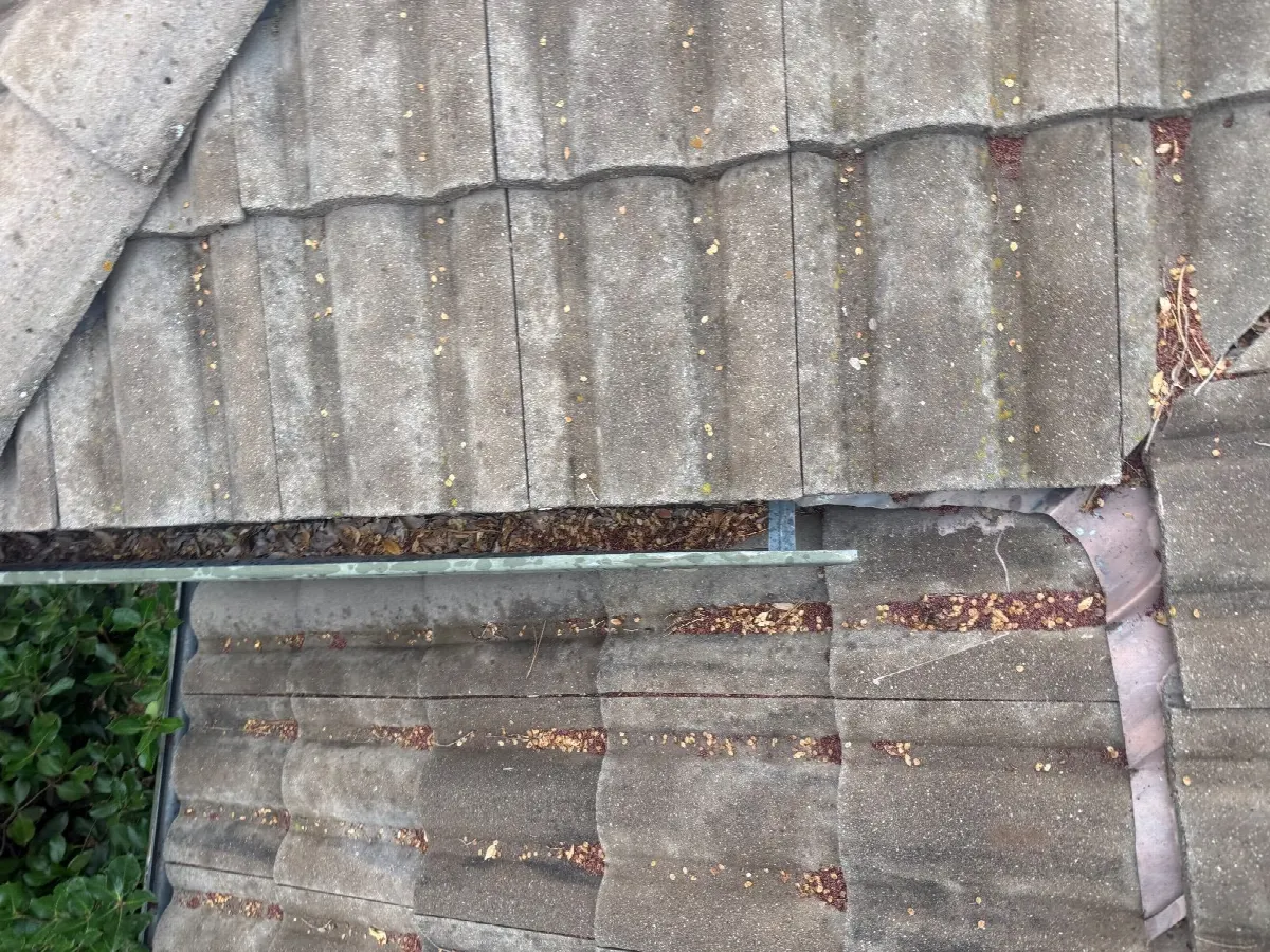 Before — Gutter Cleaning and Maintenance in El Dorado Hills, CA — October 2026