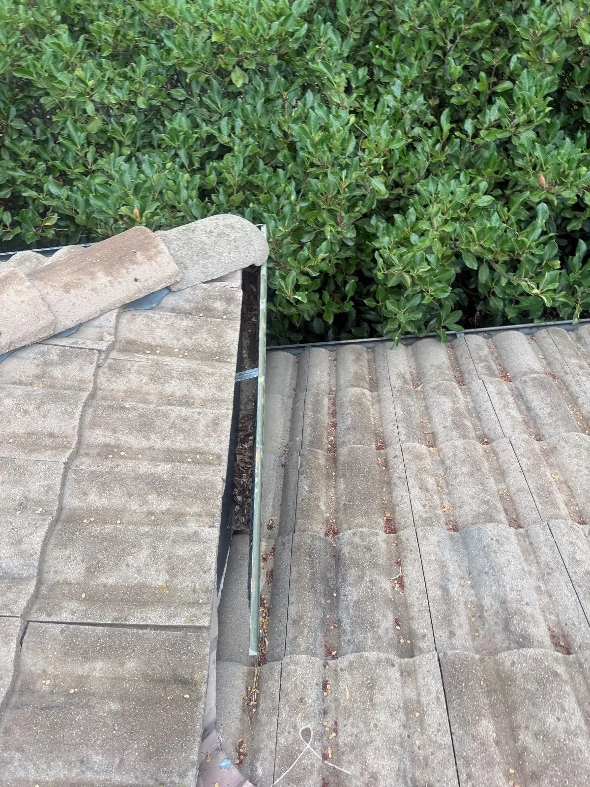 Before — Gutter Cleaning and Maintenance in El Dorado Hills, CA — October 2026