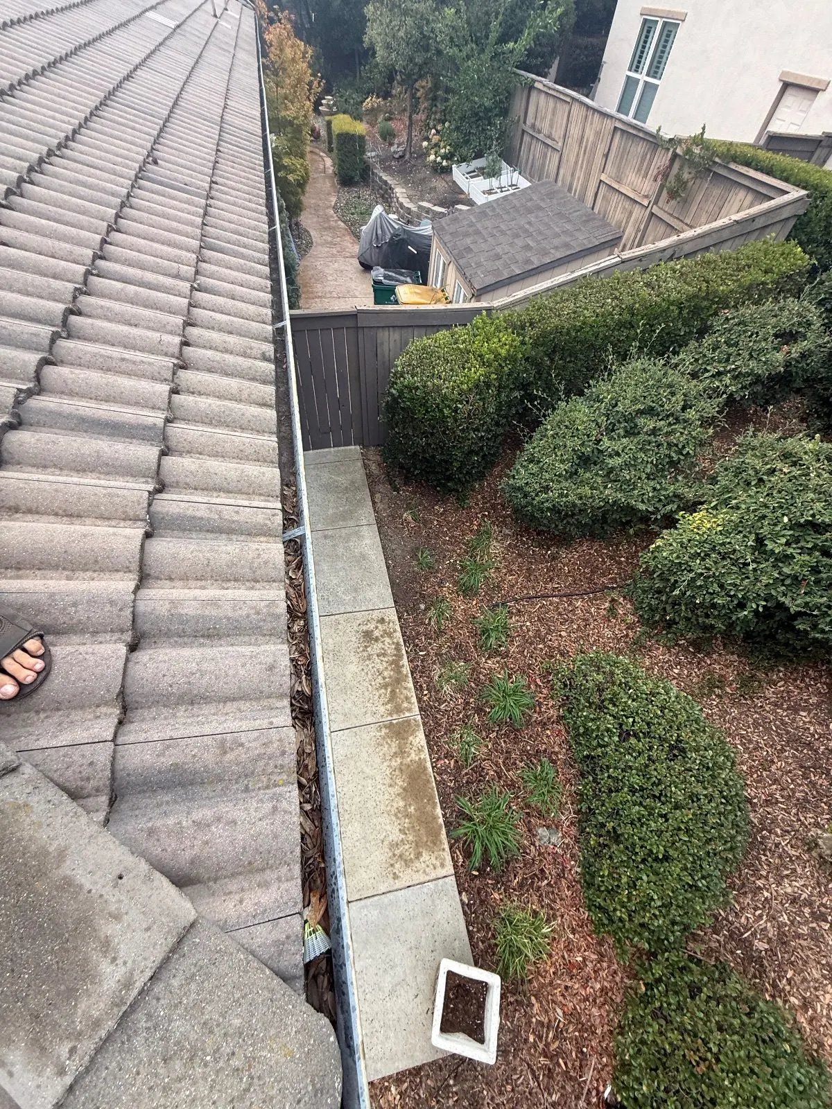 Before — Gutter Cleaning and Maintenance in El Dorado Hills, CA — October 2026