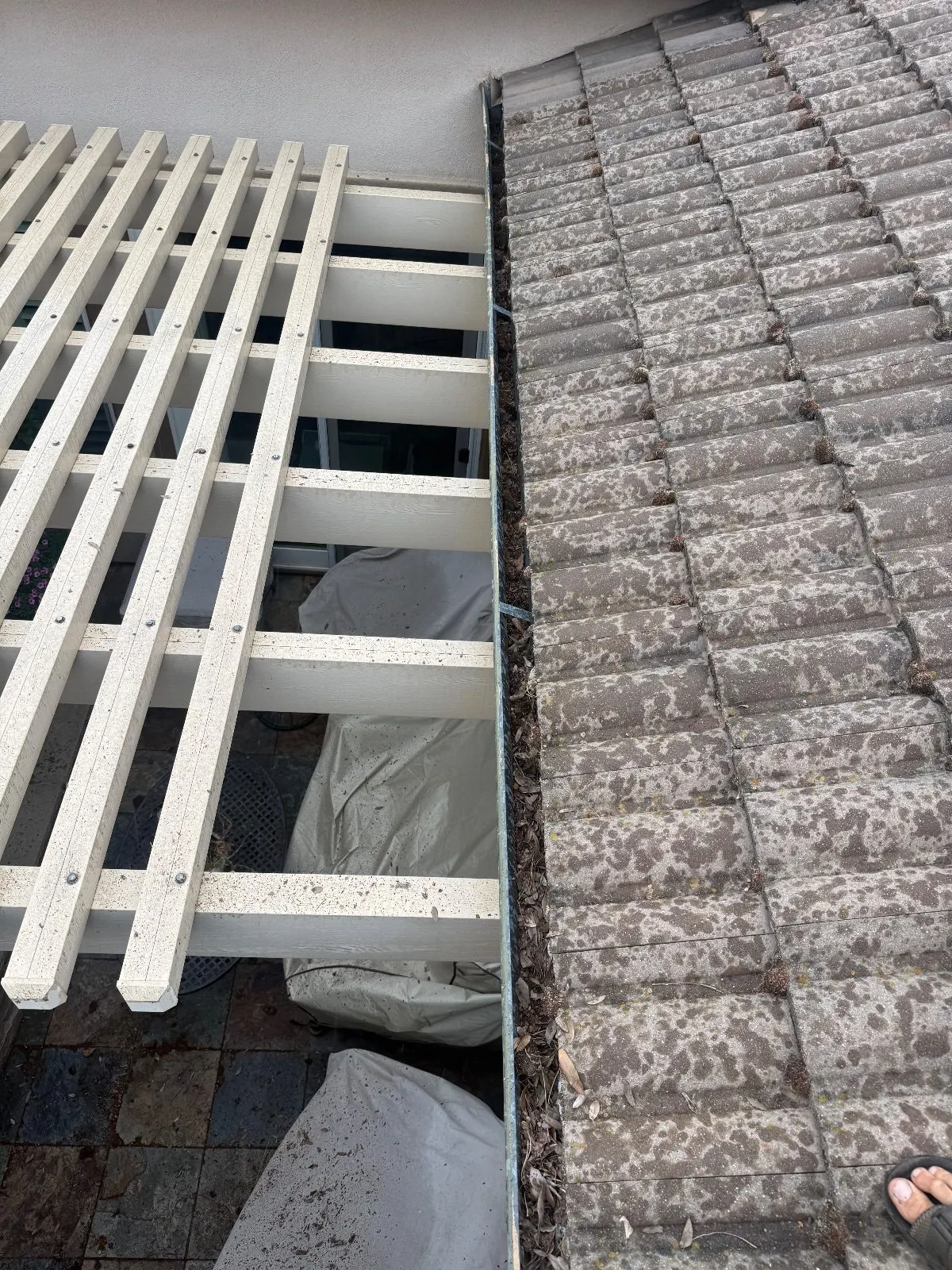 Before — Gutter Cleaning and Maintenance in El Dorado Hills, CA — October 2026