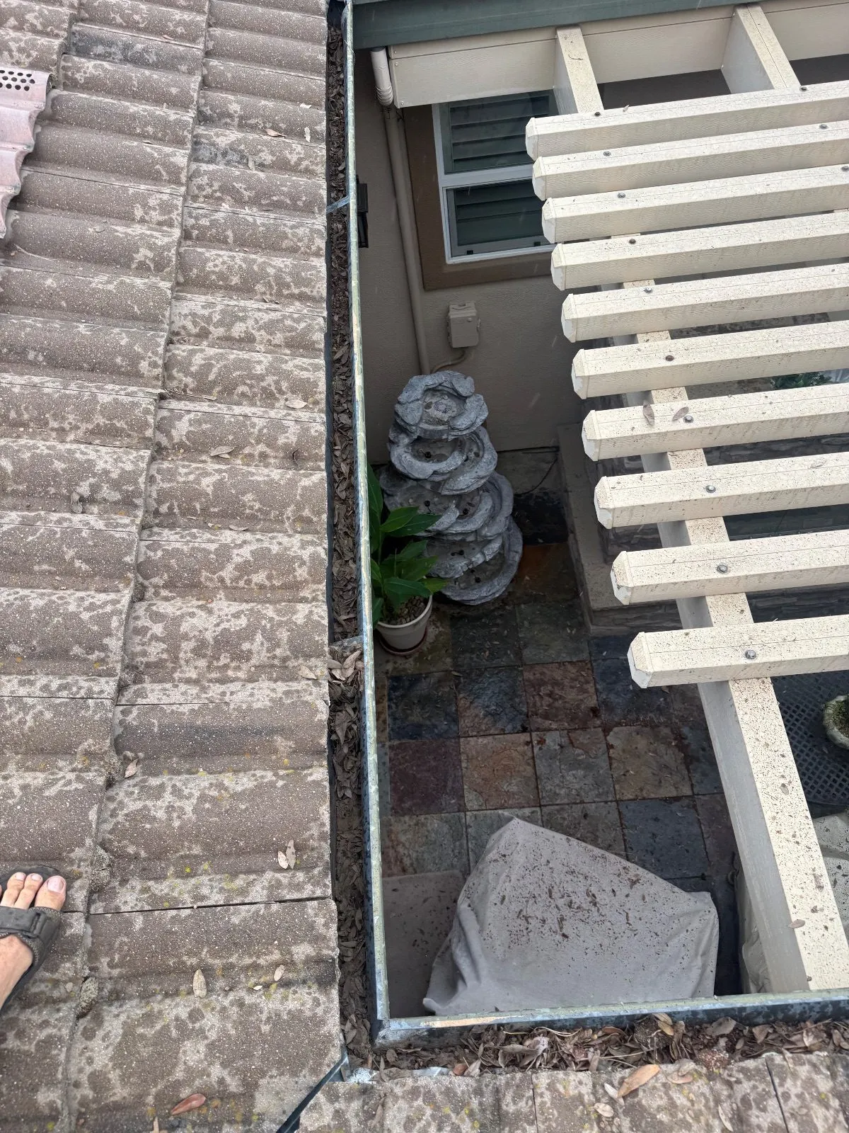 Before — Gutter Cleaning and Maintenance in El Dorado Hills, CA — October 2026