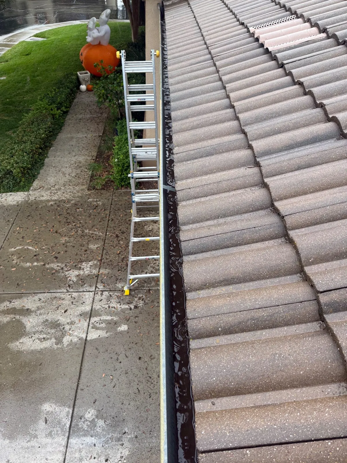 After — Gutter Cleaning and Maintenance in El Dorado Hills, CA — October 2026