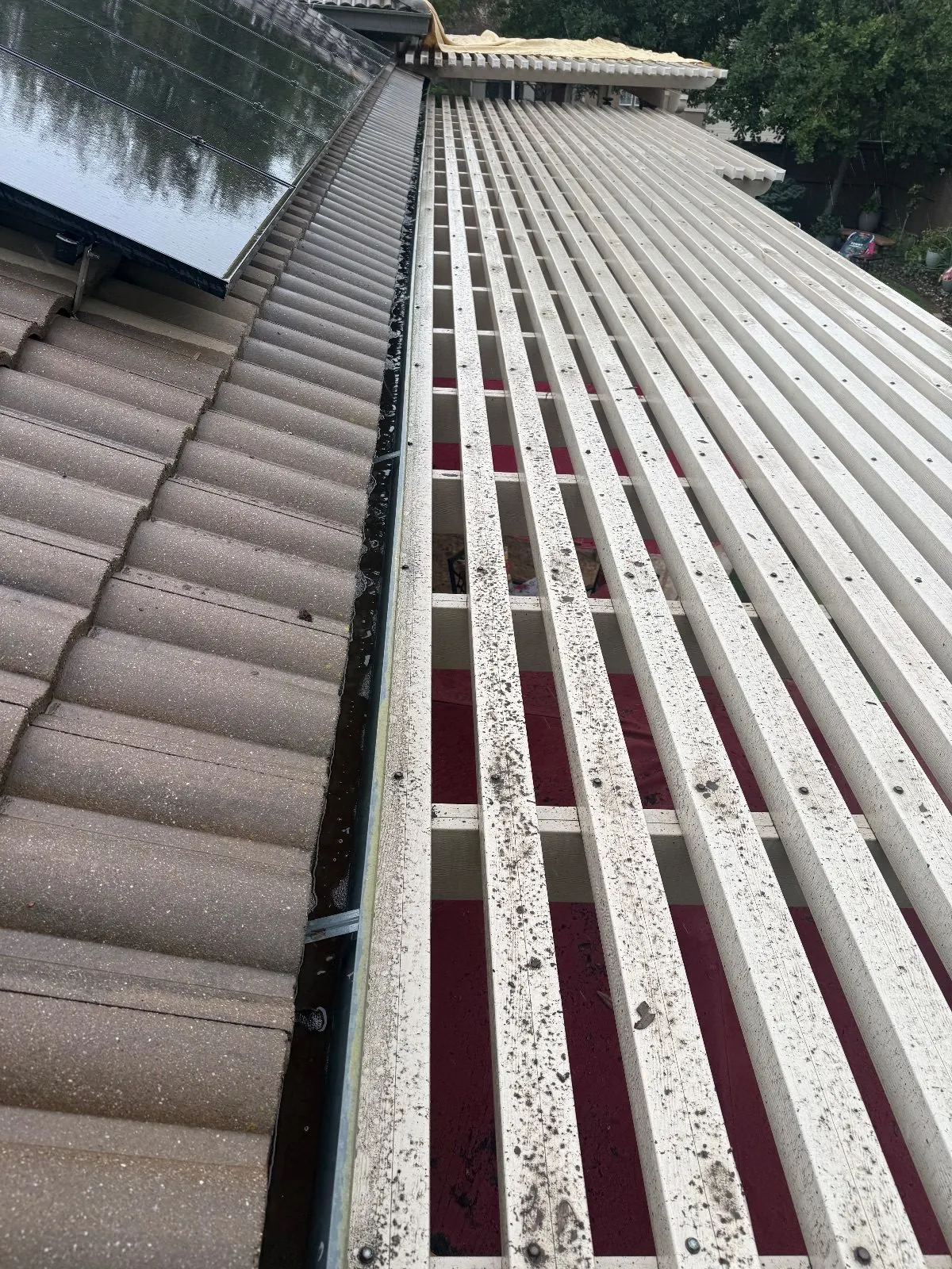 After — Gutter Cleaning and Maintenance in El Dorado Hills, CA — October 2026