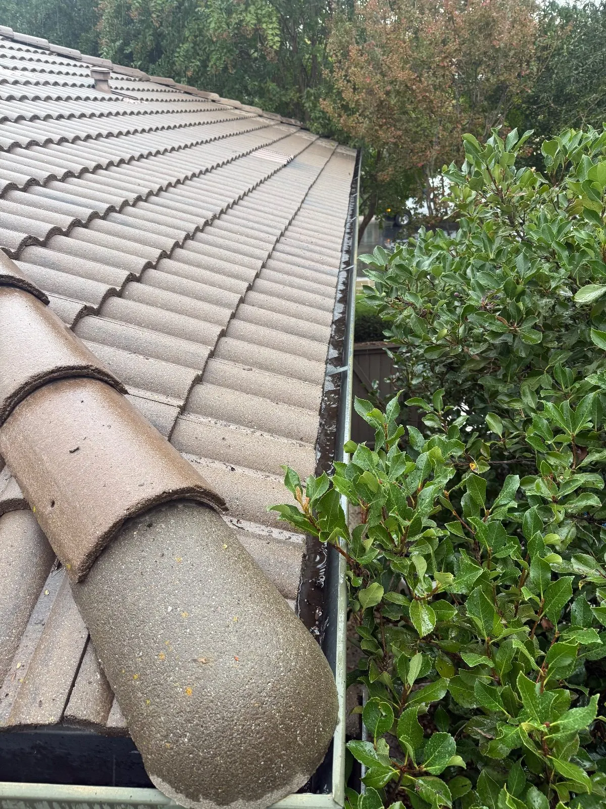 After — Gutter Cleaning and Maintenance in El Dorado Hills, CA — October 2026