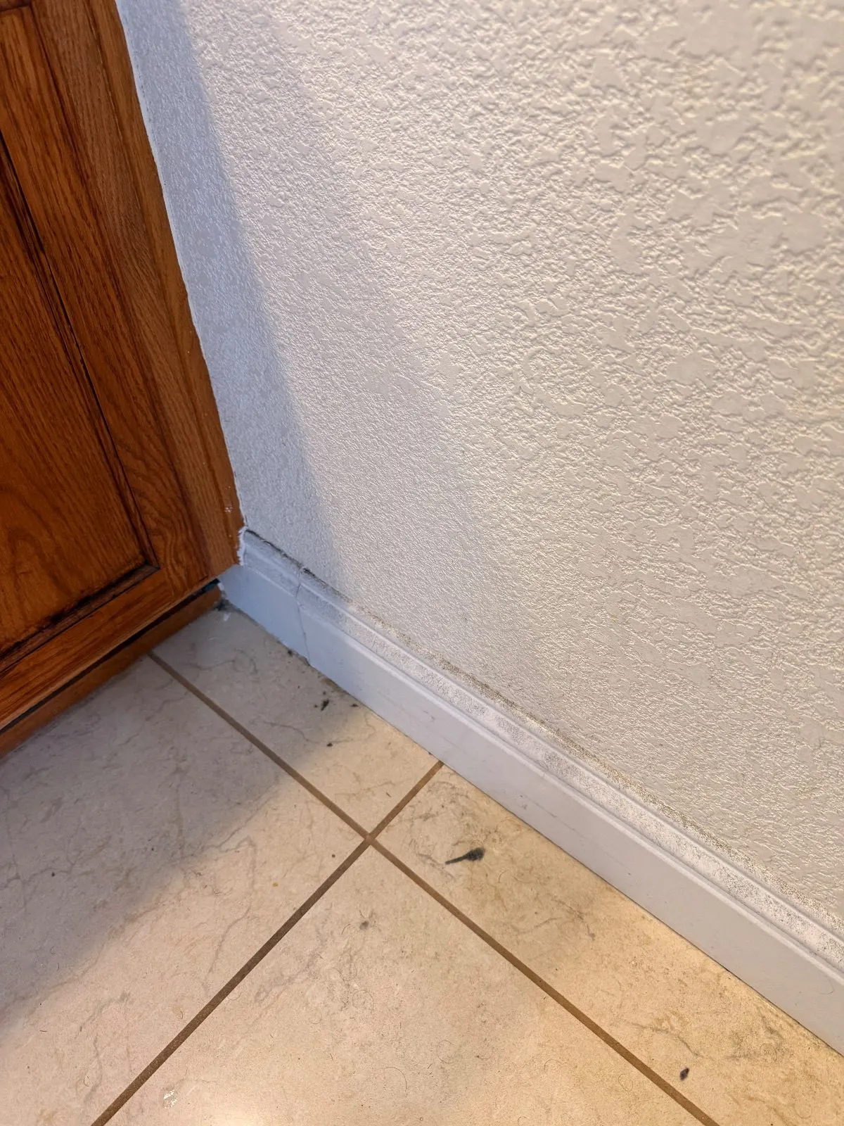 Before — House Cleaning in Roseville, CA — July 2026