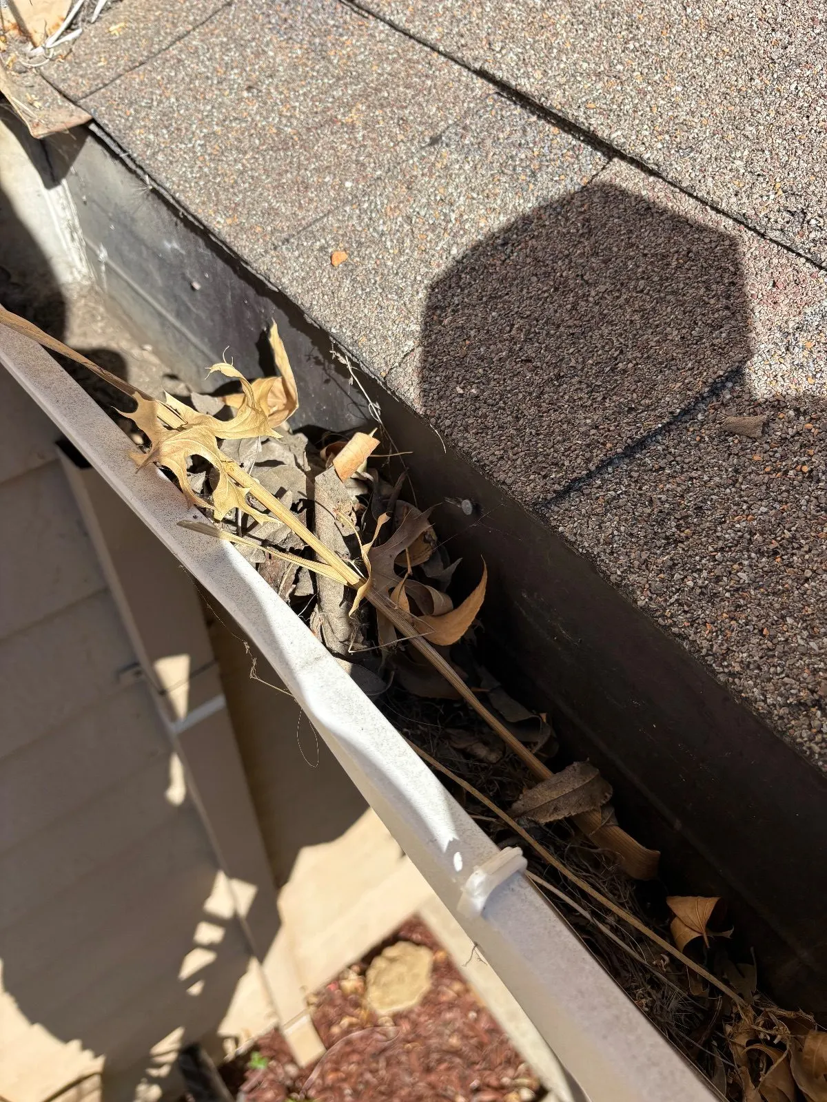 Before — Gutter Cleaning and Maintenance in Antelope, CA — July 2026