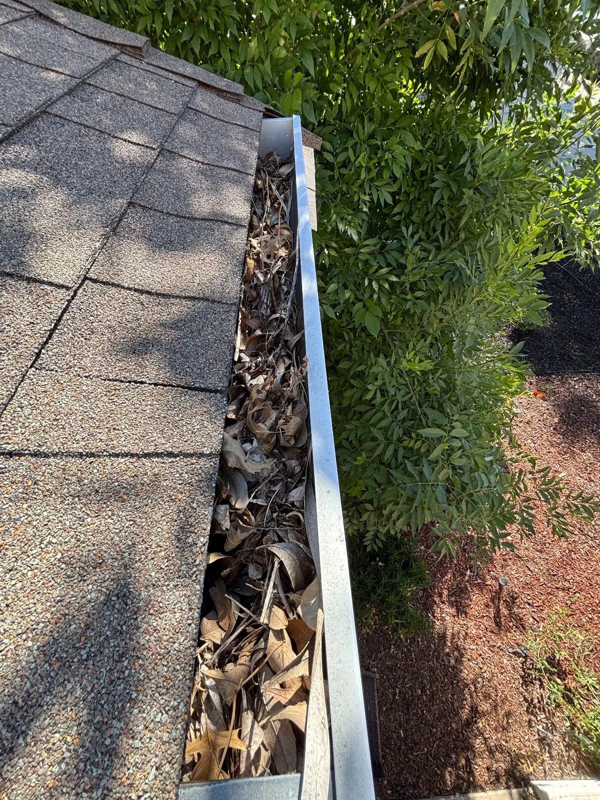 Before — Gutter Cleaning and Maintenance in Antelope, CA — July 2026