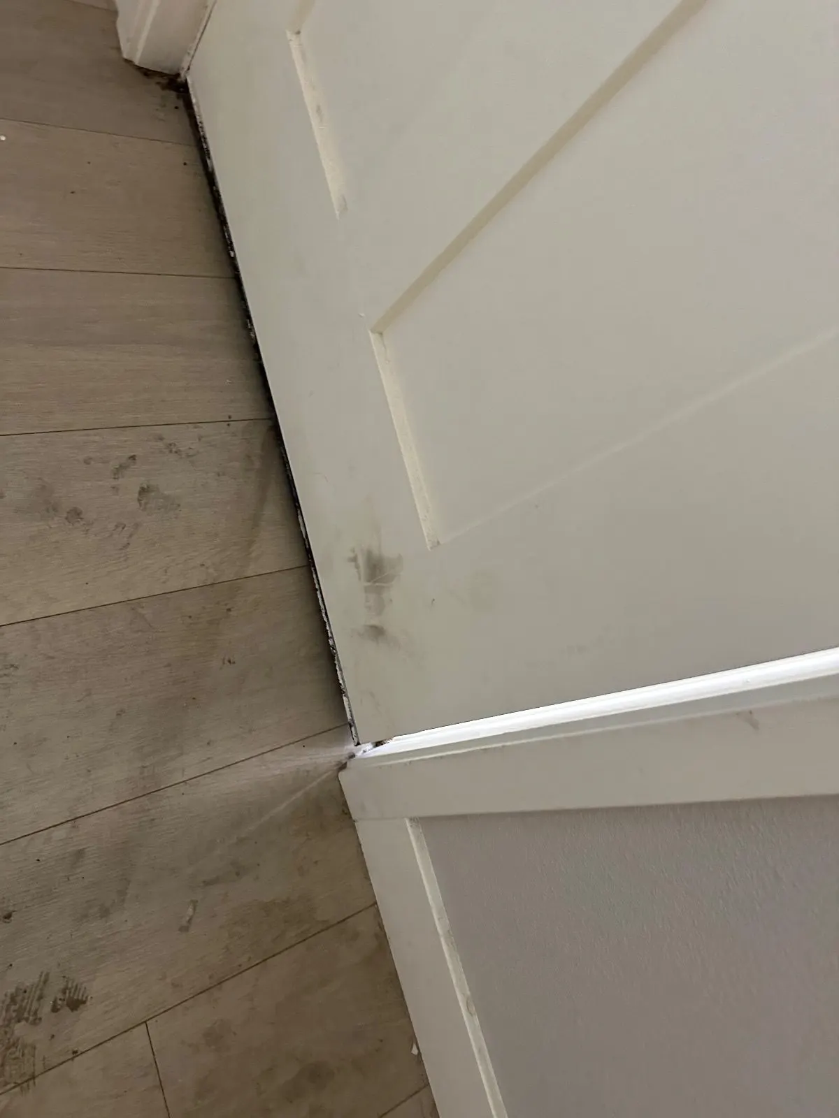 Before — House Cleaning in Sacramento, CA — October 2026