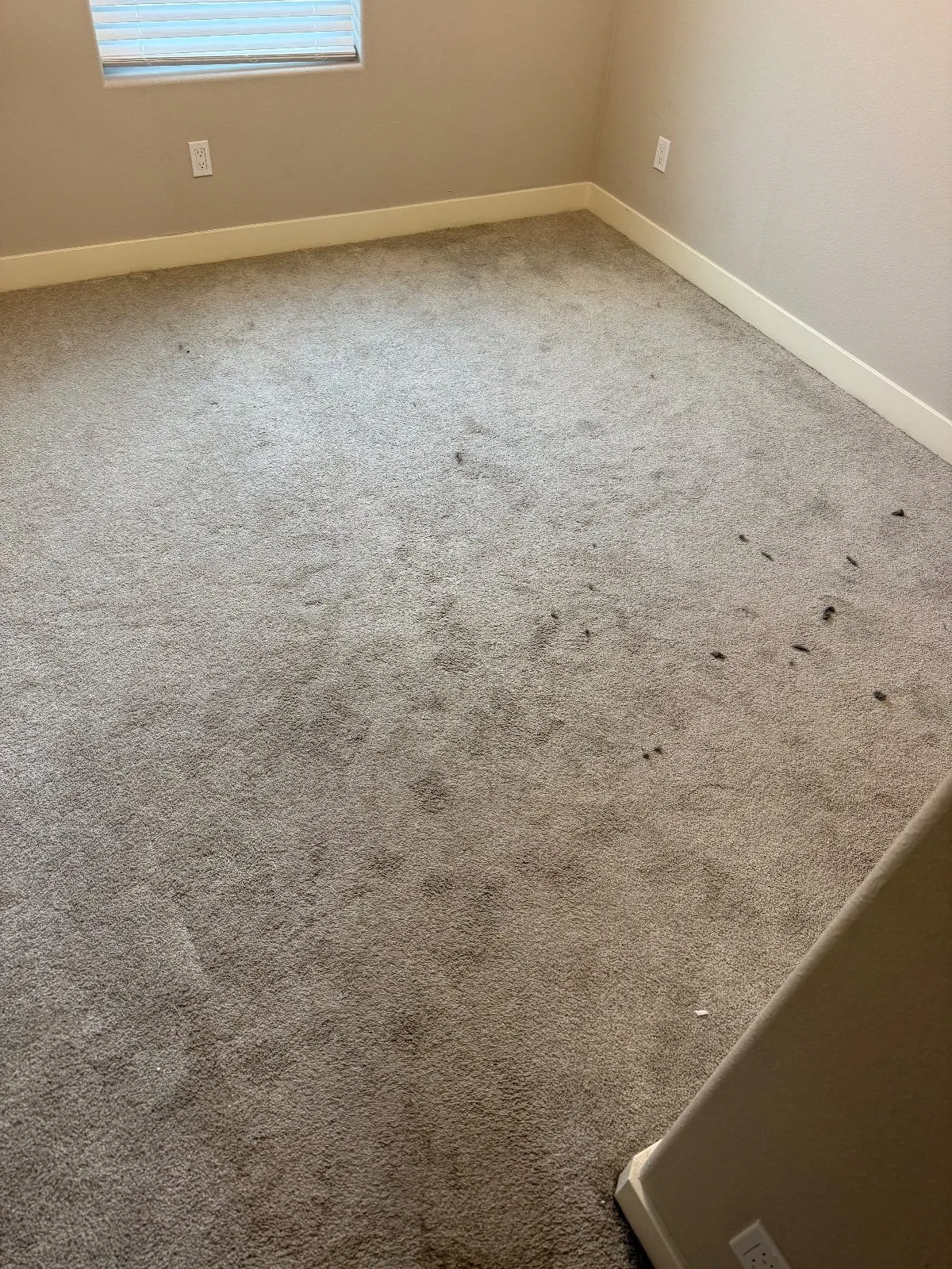 Before — Carpet Cleaning in Sacramento, CA — October 2026