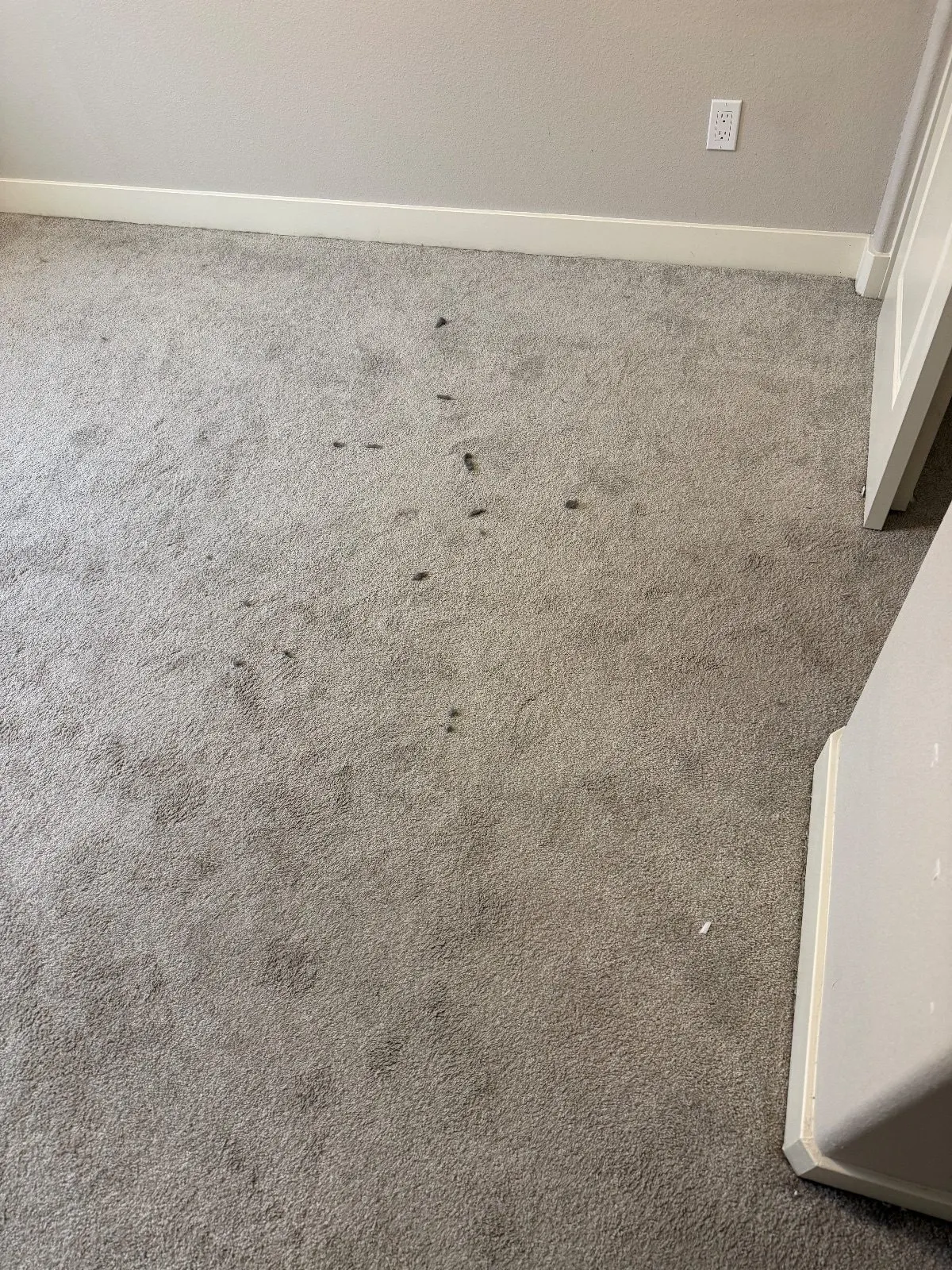 Before — Carpet Cleaning in Sacramento, CA — October 2026