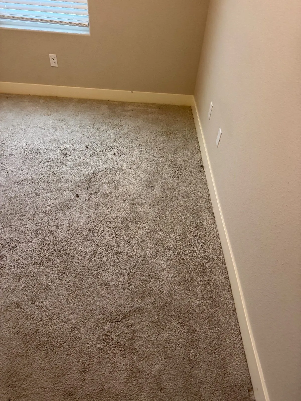 Before — Carpet Cleaning in Sacramento, CA — October 2026