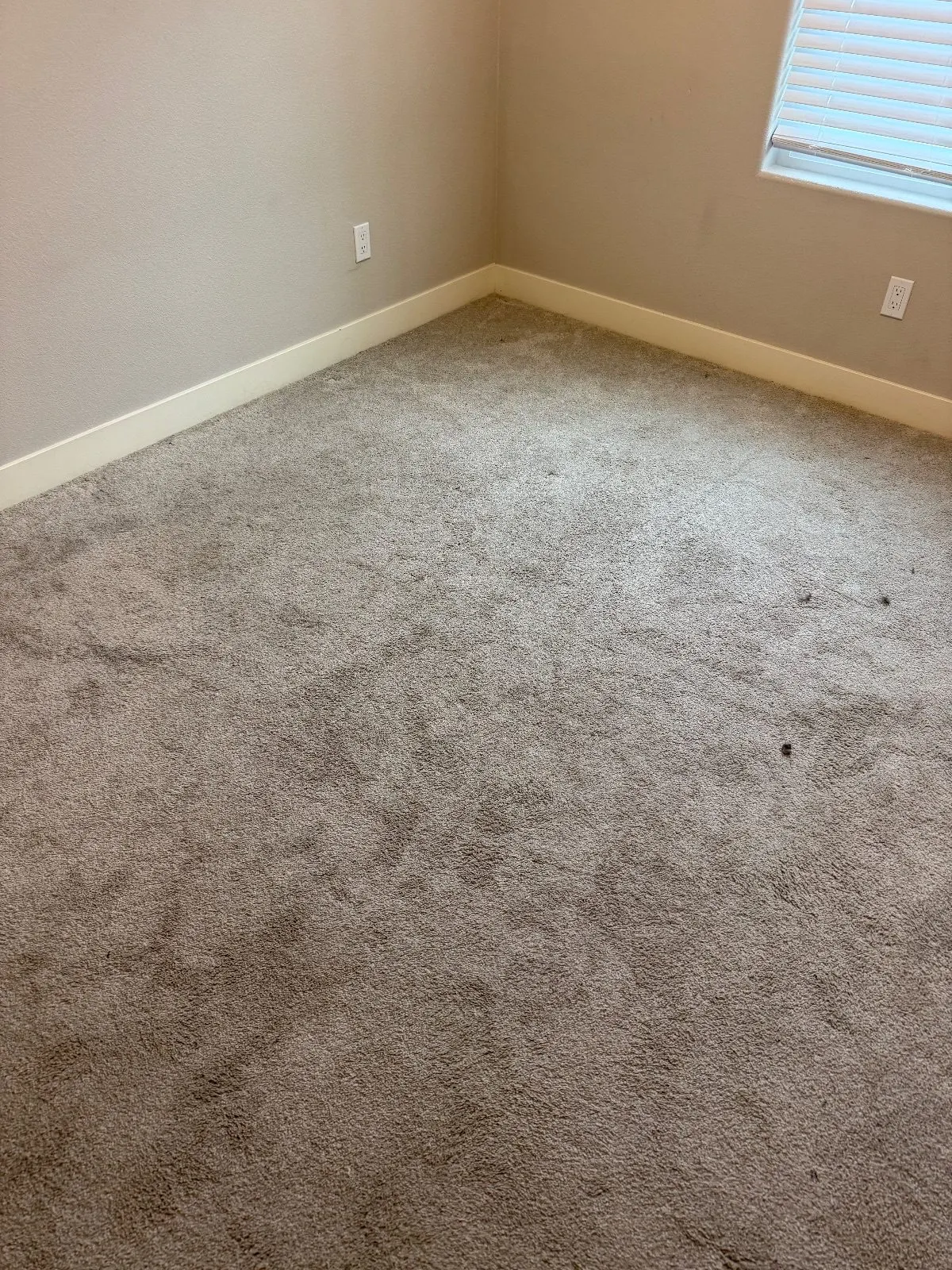 Before — Carpet Cleaning in Sacramento, CA — October 2026