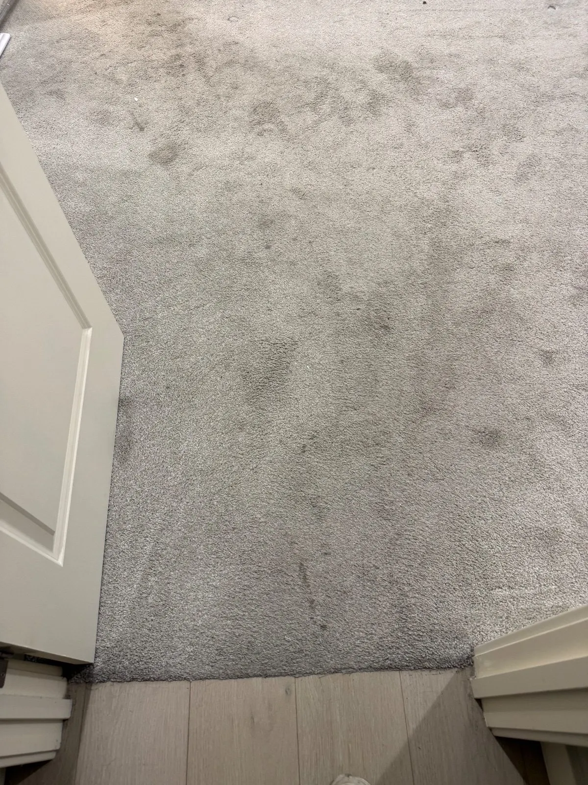 Before — Carpet Cleaning in Sacramento, CA — October 2026