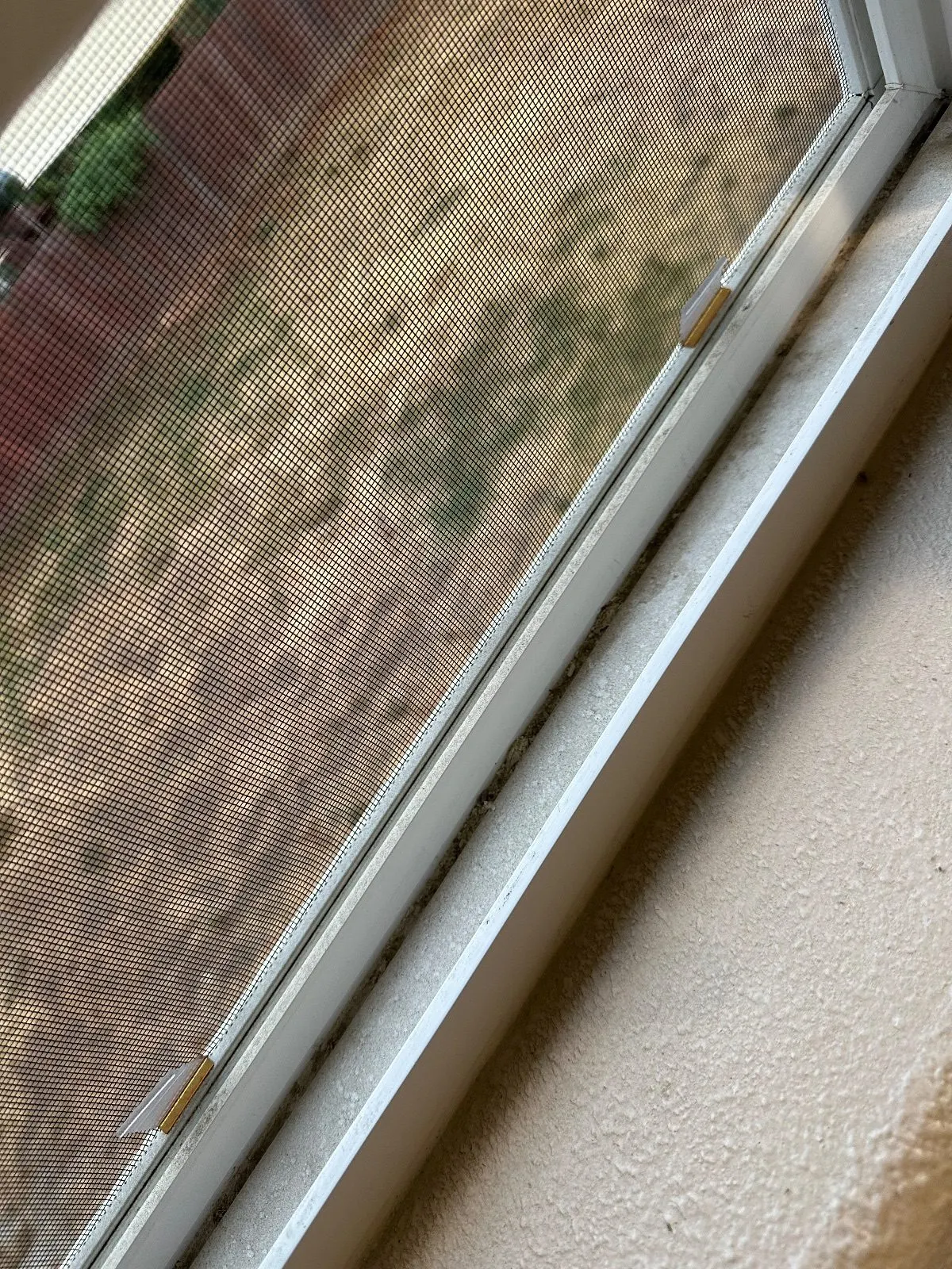 Before — House Cleaning in Sacramento, CA — October 2026