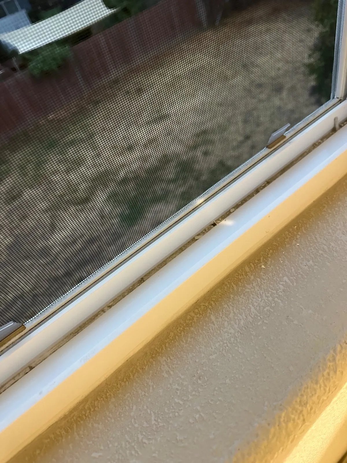 After — House Cleaning in Sacramento, CA — October 2026