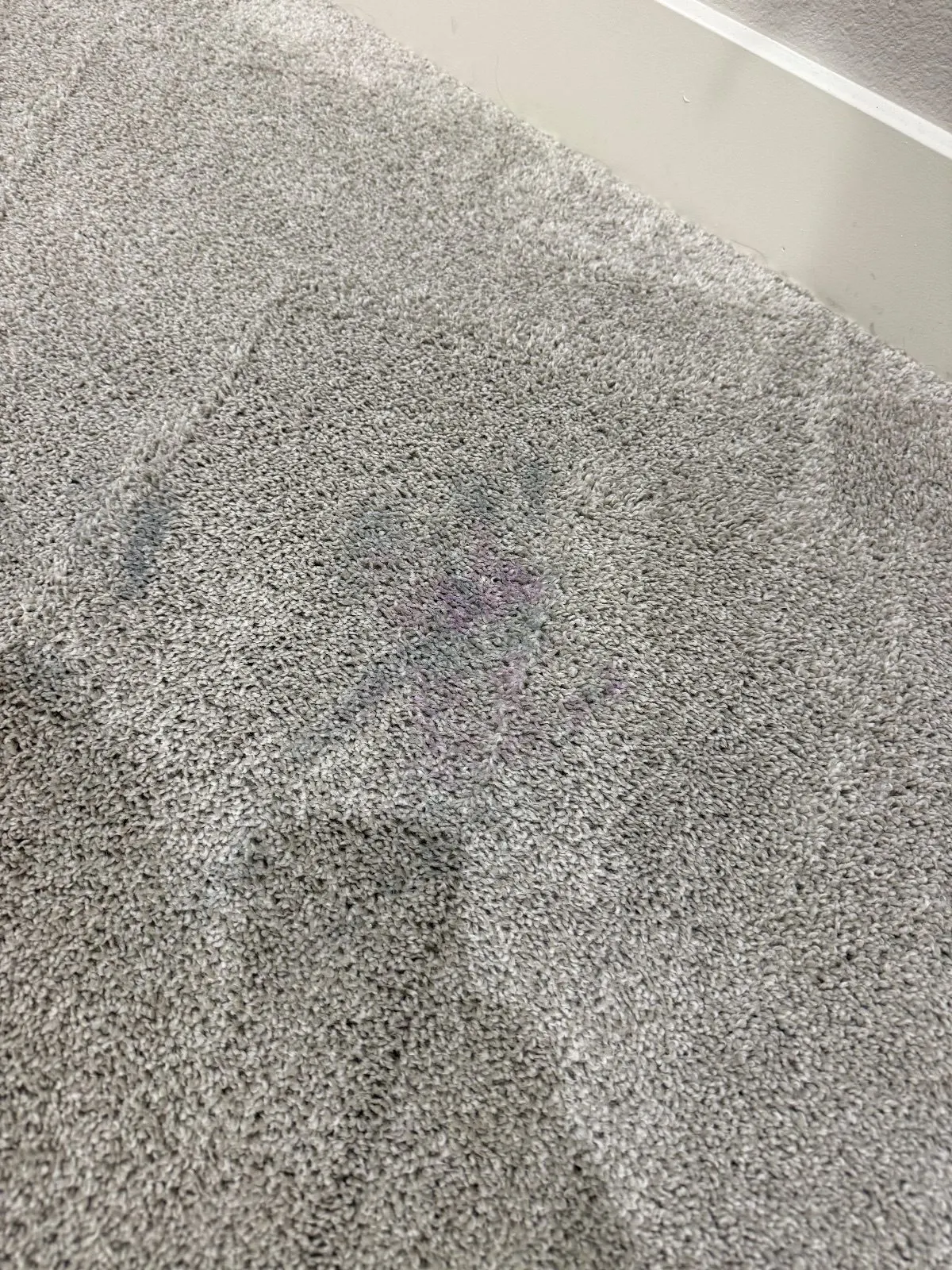 After — Carpet Cleaning in Sacramento, CA — October 2026