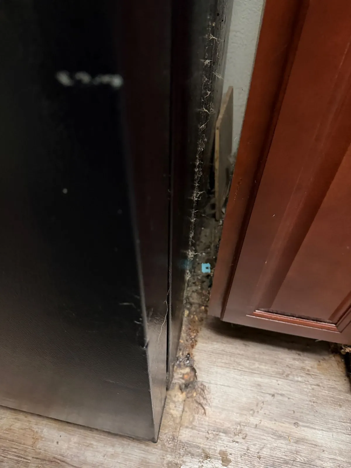 Before — House Cleaning in Sacramento, CA — October 2026