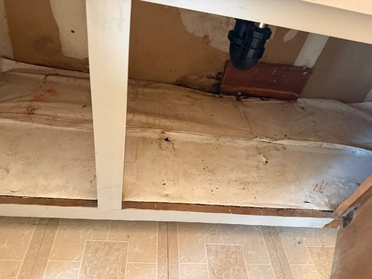 Before — House Cleaning in Carmichael, CA — October 2026