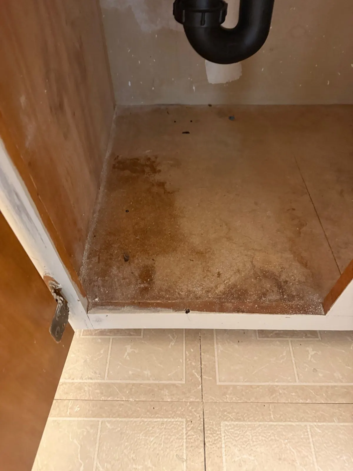 Before — House Cleaning in Carmichael, CA — October 2026
