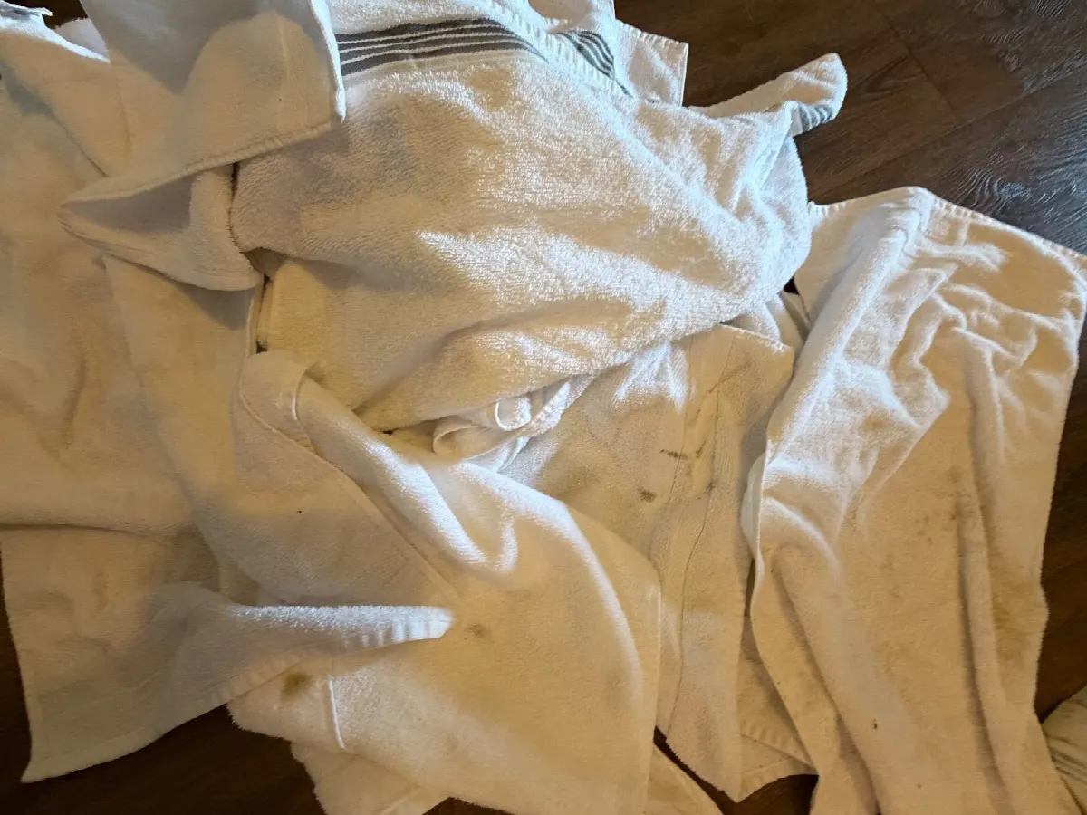 Before — House Cleaning in Folsom, CA — October 2026