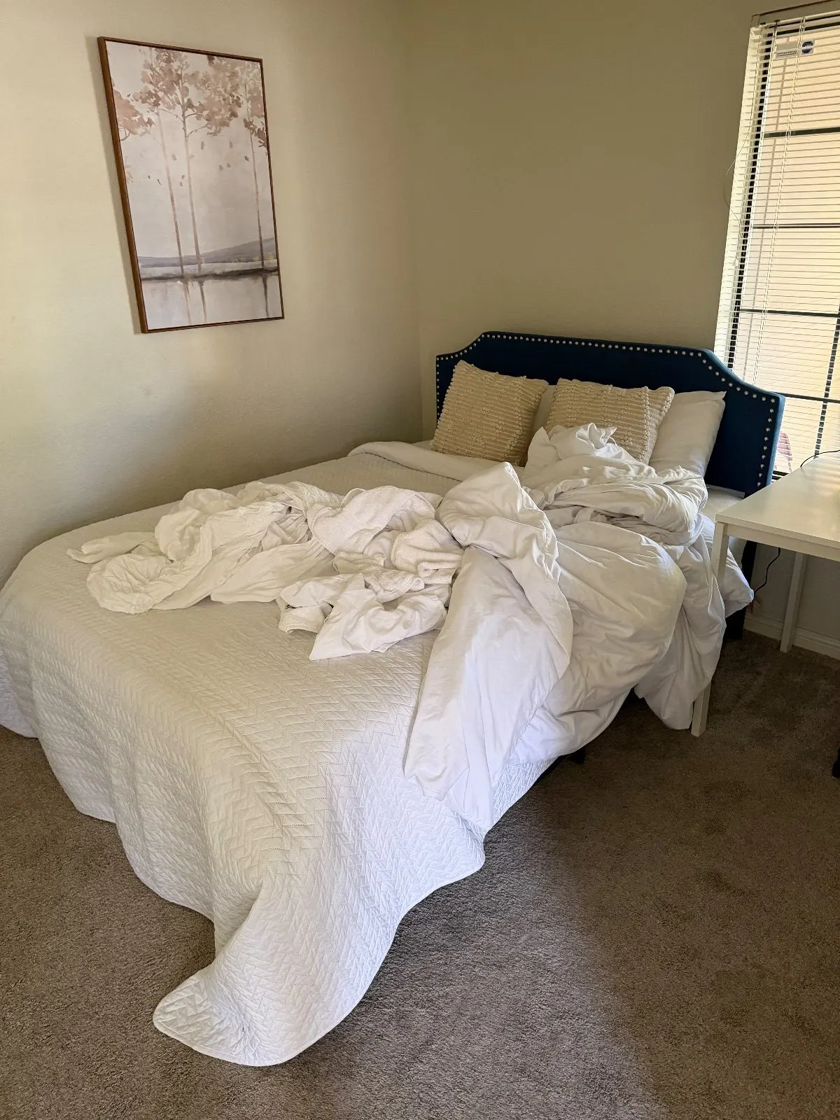 Before — House Cleaning in Folsom, CA — October 2026