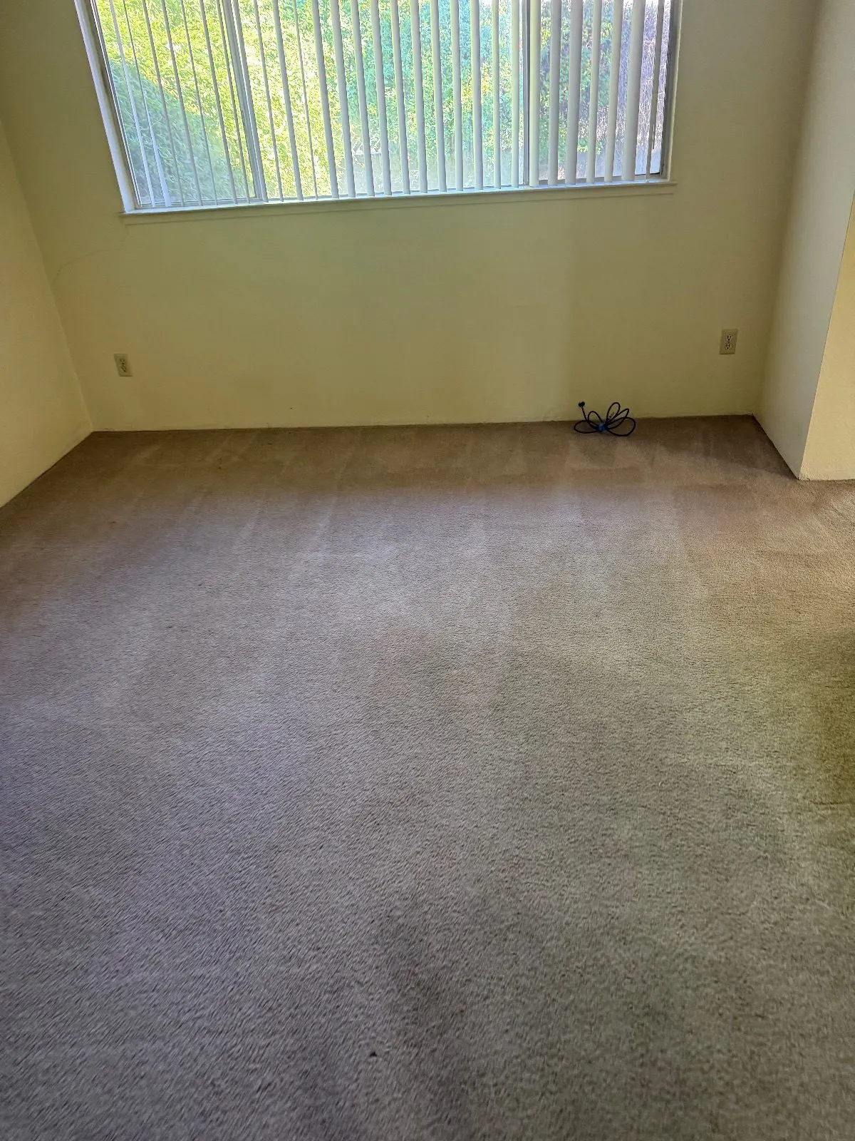 After — House Cleaning in Carmichael, CA — October 2026