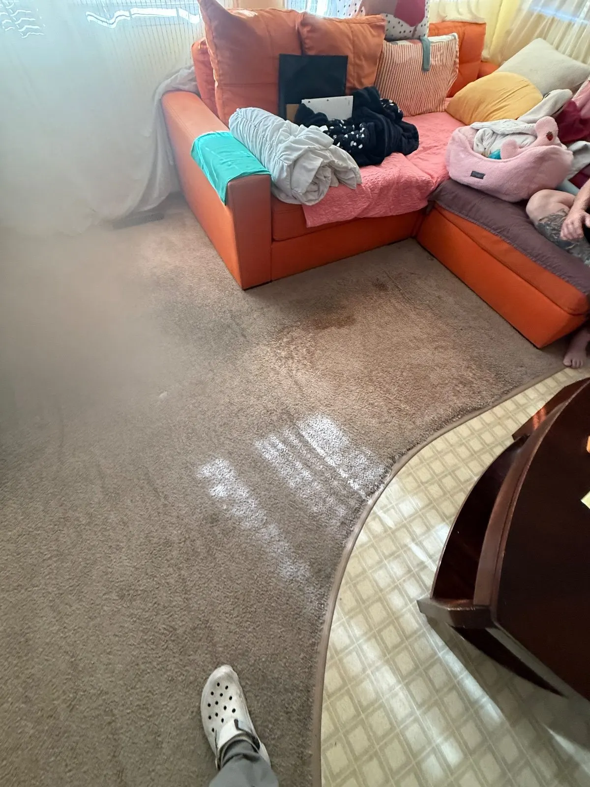 Before — Carpet Cleaning in Auburn, CA — October 2026