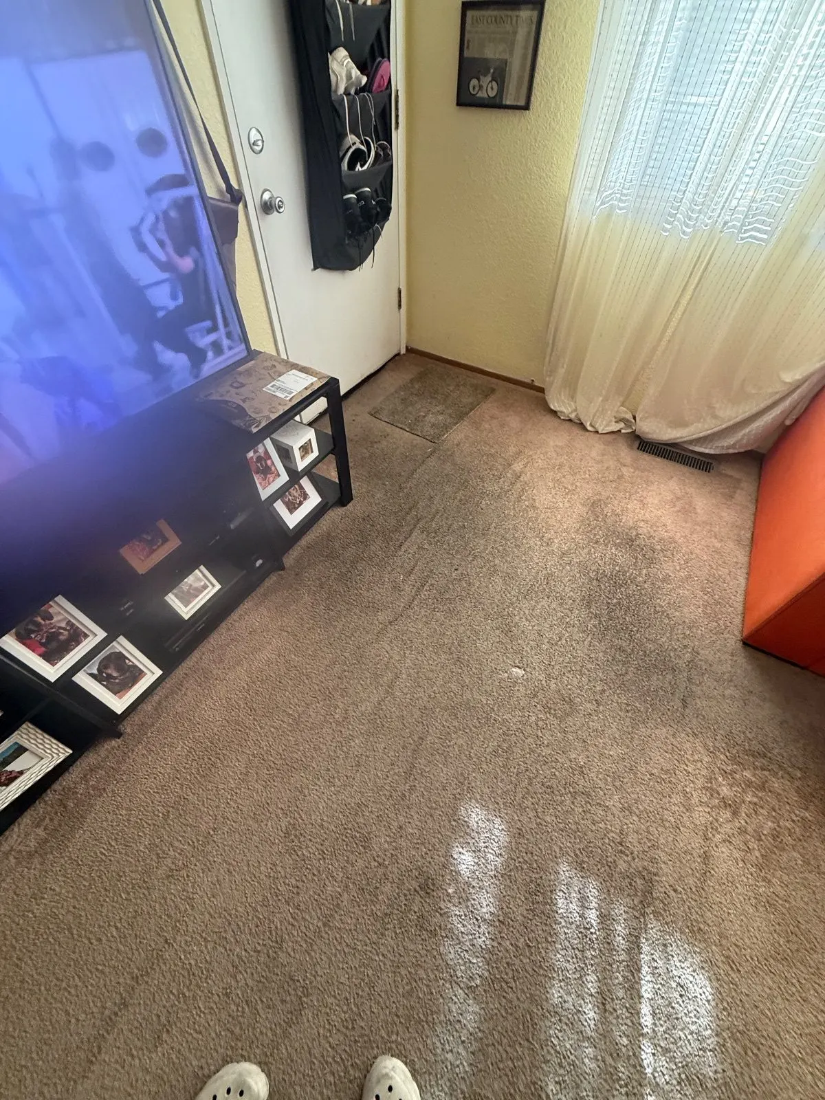 Before — Carpet Cleaning in Auburn, CA — October 2026