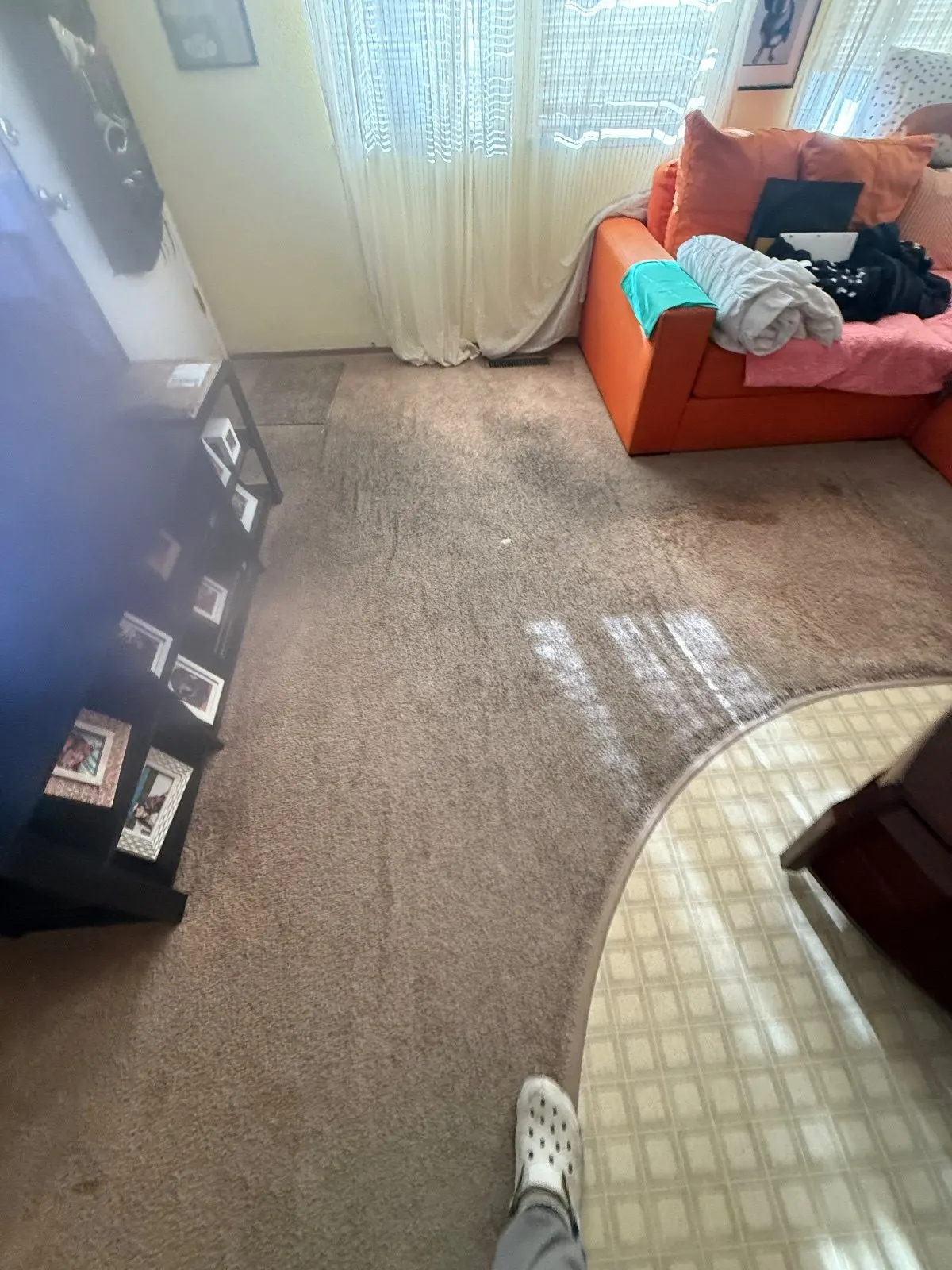 Before — Carpet Cleaning in Auburn, CA — October 2026