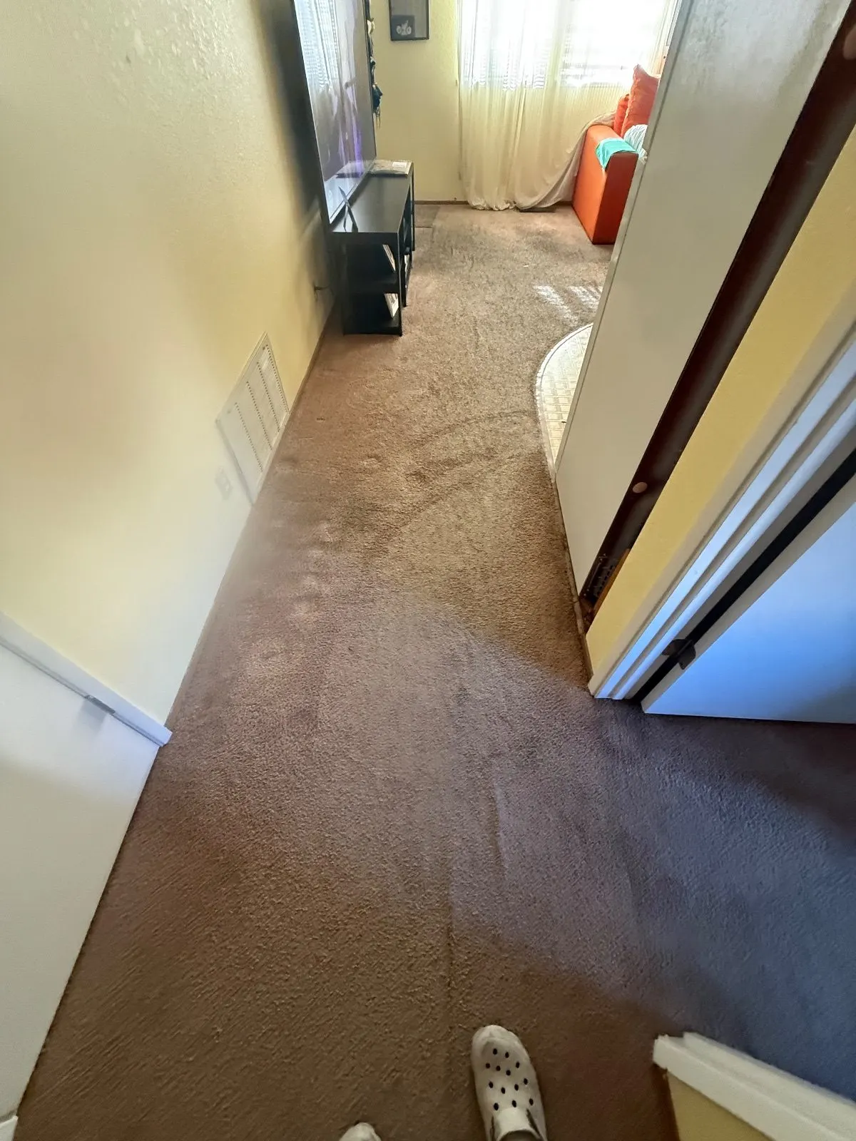 Before — Carpet Cleaning in Auburn, CA — October 2026